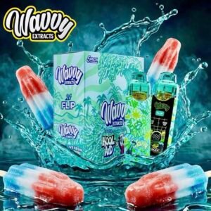 WAVVY EXTRACTS DISPOSABLE VAPE